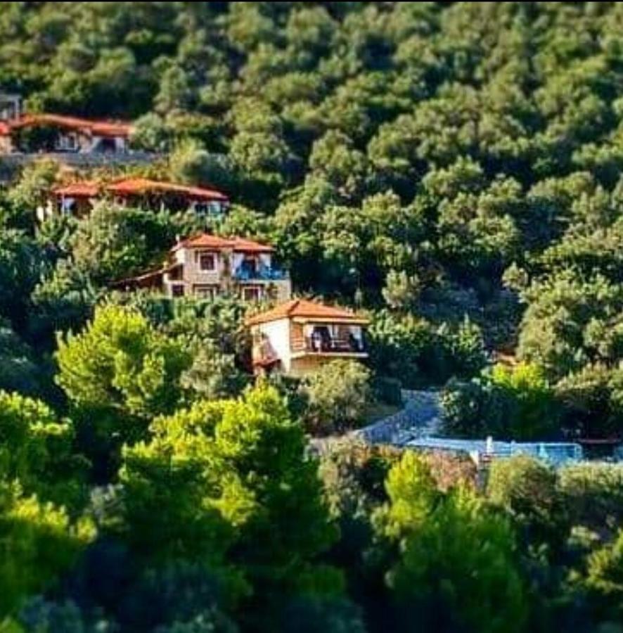 Skiathos Garden Cottages المظهر الخارجي الصورة